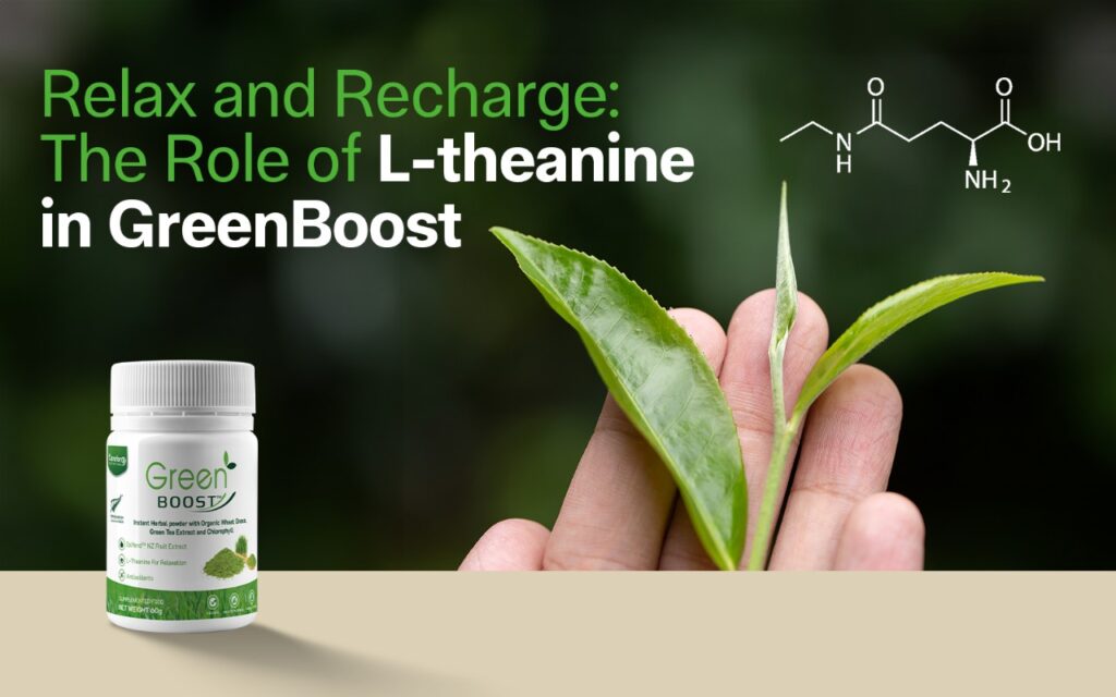 Relax and Recharge The Role of L-theanine in GreenBoost™