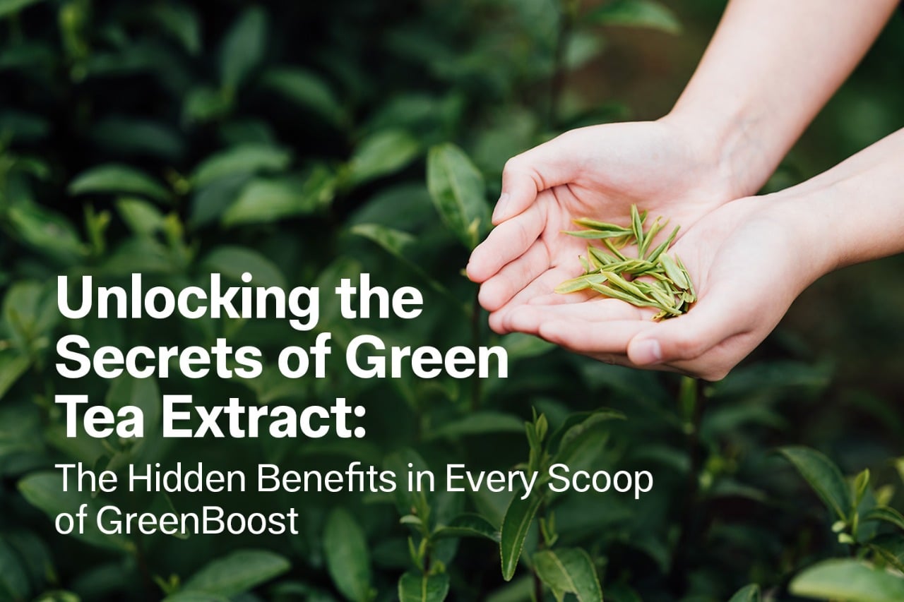 Unlocking the Secrets of Green Tea Extract: The Hidden Benefits in Every Scoop of GreenBoost