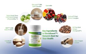 Key Ingredients in StemBoost™ Nature’s Best for Your Health