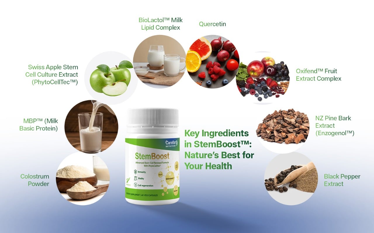 Key Ingredients in StemBoost™ Nature’s Best for Your Health
